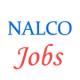 Various Manager jobs in National Aluminum Company Limited (NALCO)