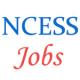 Various Scientist Jobs in National Centre for Earth Science Studies (NCESS)