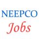 Various jobs in North Eastern Electric Power Corporation Limited (NEEPCO)