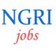 Technical Jobs in NGRI