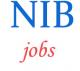 Direct Jobs in NIB