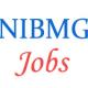 Various Professor Jobs in National Institute of Biomedical Genomics (NIBMG)