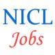 1000 Assistant Jobs in National Insurance - January 2015