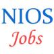 Various Jobs in National Institute of Open Schooling (NIOS)