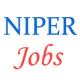 Various Jobs in National Institute of Pharmaceutical Education and Research (NIPER)