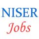 Upcoming Jobs of Scientific officers and Technician in NISER