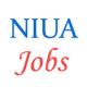 Various Jobs in National Institute of Urban Affairs (NIUA)