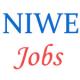 National Institute of Wind Energy Jobs