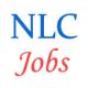 Various jobs in Neyveli Lignite Corporation Limited (NLC)