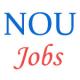 Various Jobs in North Orissa University (NOU)