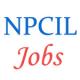 Various Jobs in Nuclear Power Corporation of India Limited (NPCIL)