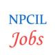 Trainee Jobs in Nuclear Power Corporation of India Limited (NPCIL) 