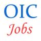Upcoming Jobs of Assistants in Oriental Insurance Company 