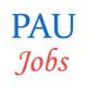 Various jobs in Punjab Agricultural University (PAU)