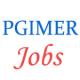 Non-Teaching Jobs in PGIMER