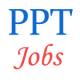 Paradip Port Trust Assistant Executive Engineer (Civil) Jobs
