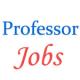 Various professor Jobs in University of North Bengal (NBU)