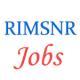 Various Jobs in UP Rural Institute of Medical Sciences & Research (RIMSNR)
