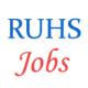 Various Jobs in Rajasthan University of Health Sciences (RUHS)
