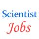 Scientist Jobs in Society for Applied Microwave Electronics Engineering and Research (SAMEER)