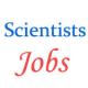 Scientists jobs in Birbal Sahni Institute of Palaeobotany