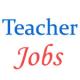 Upcoming 15000 Assistant Teacher posts in UP Basic Education Parishad - January 2014 
