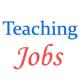 Various Teaching Jobs in Central University of Kerala (CUK)