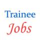 07 posts of Management Trainees in CEMENT CORPORATION OF INDIA LIMITED (CCI)