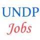 UNDP Job positions - Odisha Government
