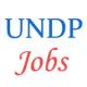 Various jobs in United Nations Development Programme (UNDP)