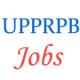 UP Police Jail Warder and Fireman Jobs