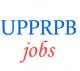 Sub-Inspector Fire Officer Jobs in UP Police 