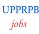 Sub-Inspector ASI Clerk Accounts Jobs in UP Police