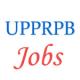 1865 posts of Computer Operators in Uttar Pradesh Police Recruitment and Promotion Board (UPPRPB)