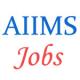 Faculty Jobs in AIIMS Patna - February 2015