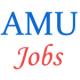 Job posts in AMU Aligarh - November 2014