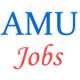 Job posts in AMU Aligarh - November 2014