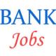 Upcoming Office Assistant Jobs in Boroda Uttar Pradesh Gramin Bank