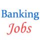 Upcoming Jobs of Security Officer in Syndicate Bank - November 2014