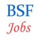 BSF Engineering Jobs of Inspector and Sub-Inspector