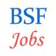 BSF JOBS - Constable Recruitment