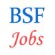 BSF Jobs - ASI Stenographer and Constable Ministerial