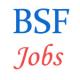 BSF Jobs for Sportsperson as Constables