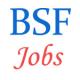 Upcoming Govt Jobs of Constable Tradesman posts in BSF