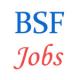BSF Jobs - Para-Medical Staff recruitment