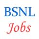 BSNL JTO Graduate Engineer Jobs by GATE 2017