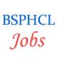 Bihar State Power Holding Company Jobs of IT Managers