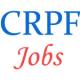 CRPF Jobs - Head-Constable Ministerial vacancy