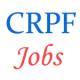 CRPF Chhattisgarh Constable Jobs