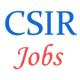 CSIR IHBT Technical Jobs - January 2015